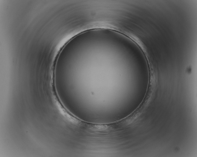 X0000111821144200907301250
