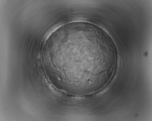 X0000111821145200907301250