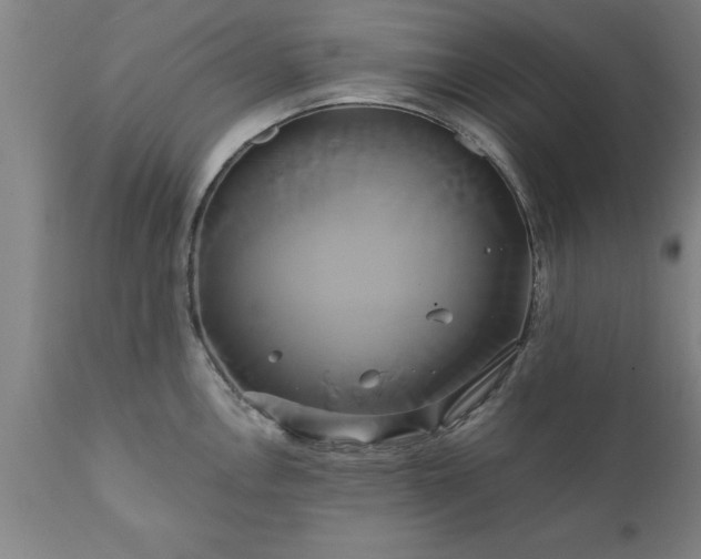X0000111821146200907301250