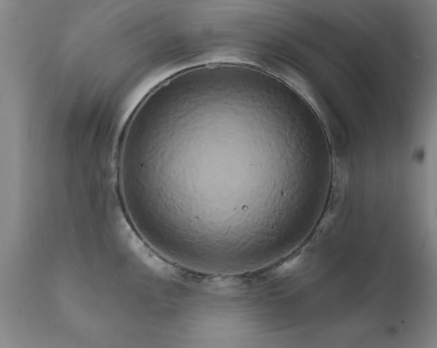 X0000111821148200907301251