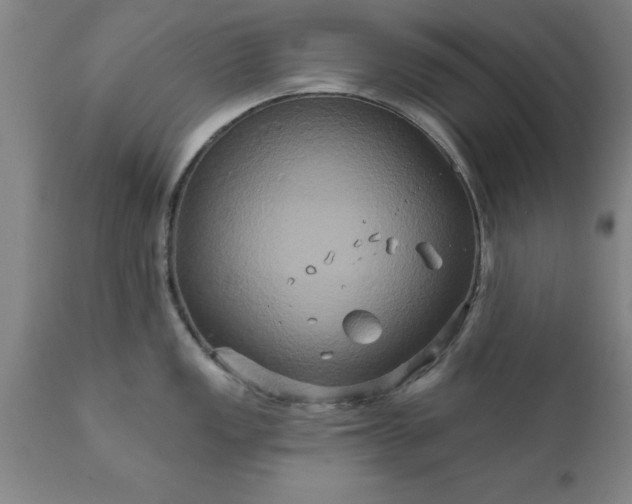 X0000111821149200907301251