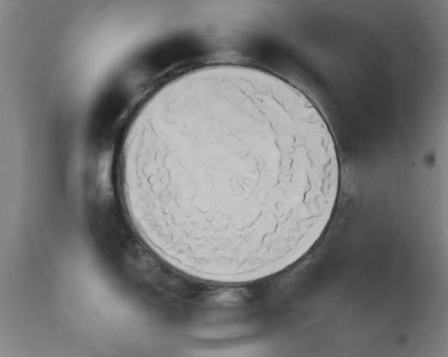X0000111821150200907301251