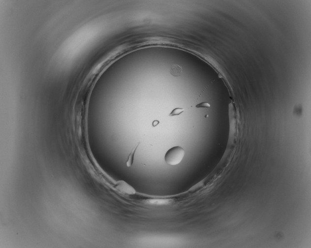 X0000111821151200907301251
