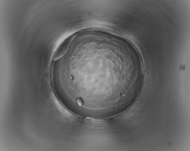 X0000111821152200907301251