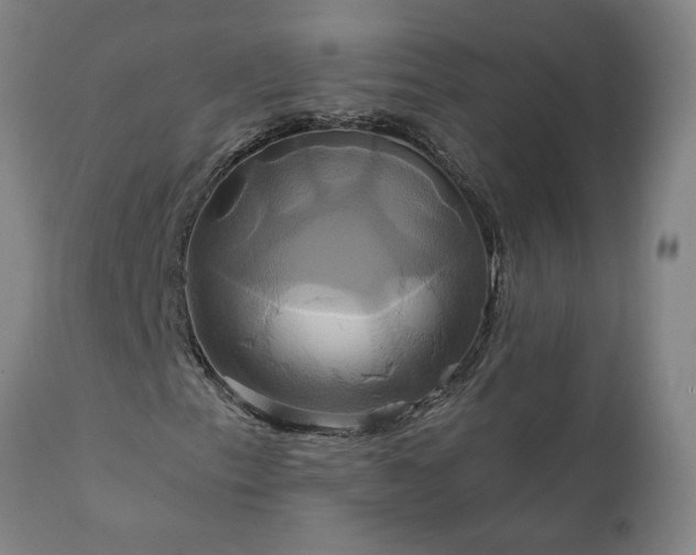 X0000111821153200907301250