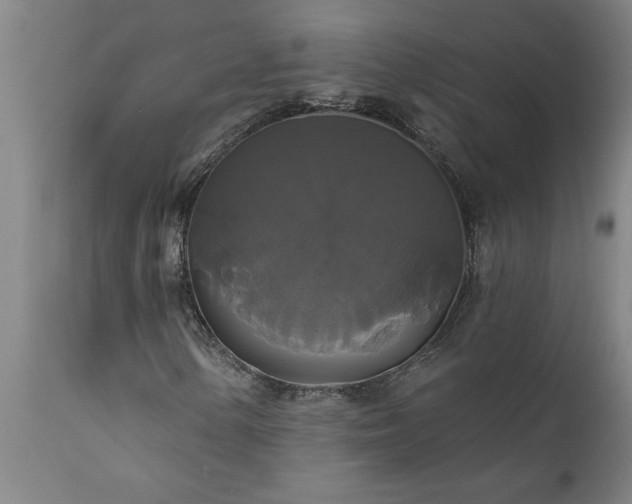 X0000111821154200907301250