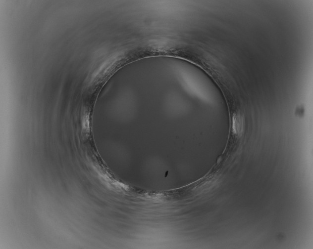 X0000111821155200907301250