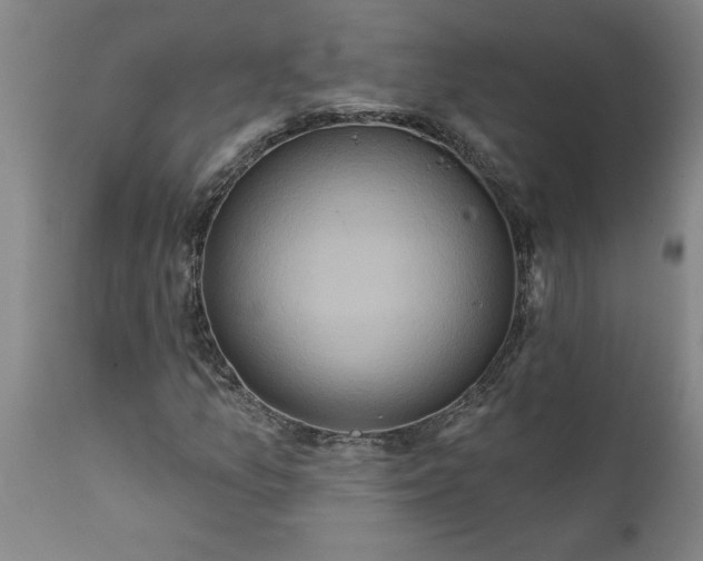 X0000111821157200907301250