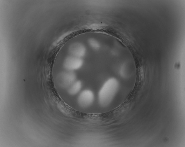 X0000111821158200907301250
