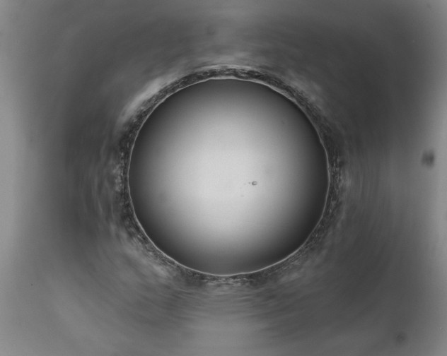 X0000111821159200907301250