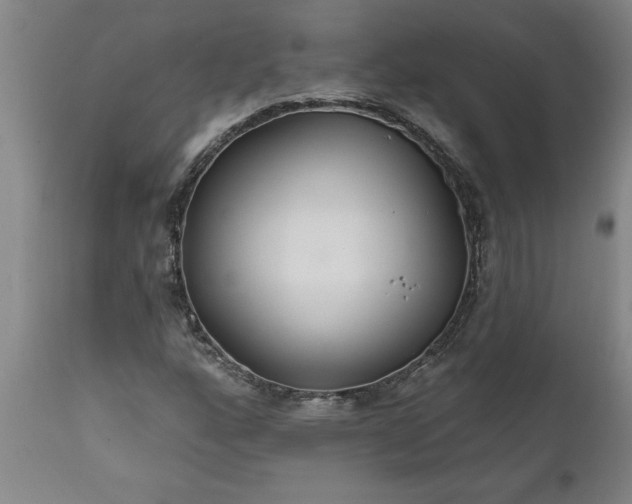 X0000111821160200907301250