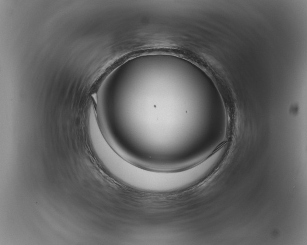 X0000111821161200907301250