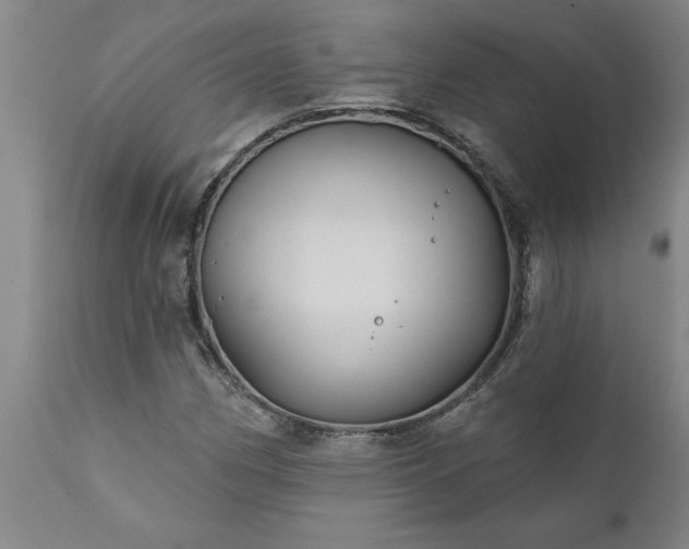 X0000111821162200907301250