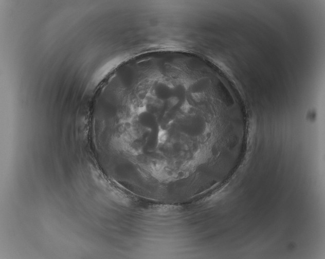 X0000111821163200907301250