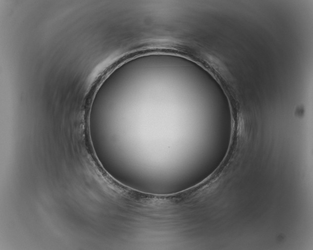 X0000111821164200907301250