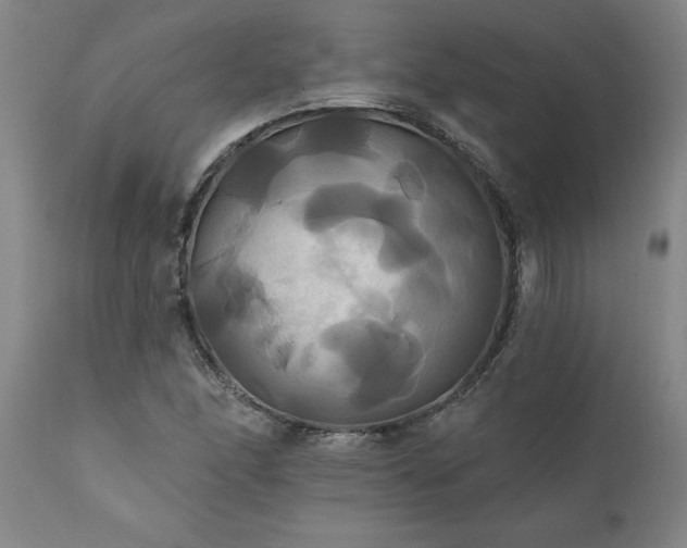X0000111821166200907301250