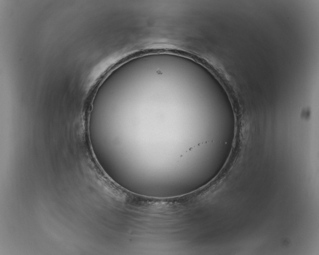 X0000111821167200907301250