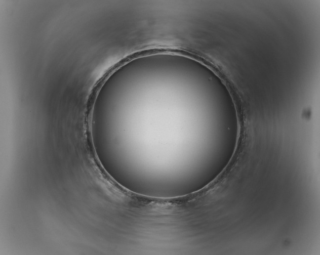 X0000111821168200907301250