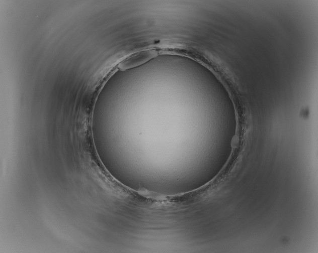 X0000111821169200907301250