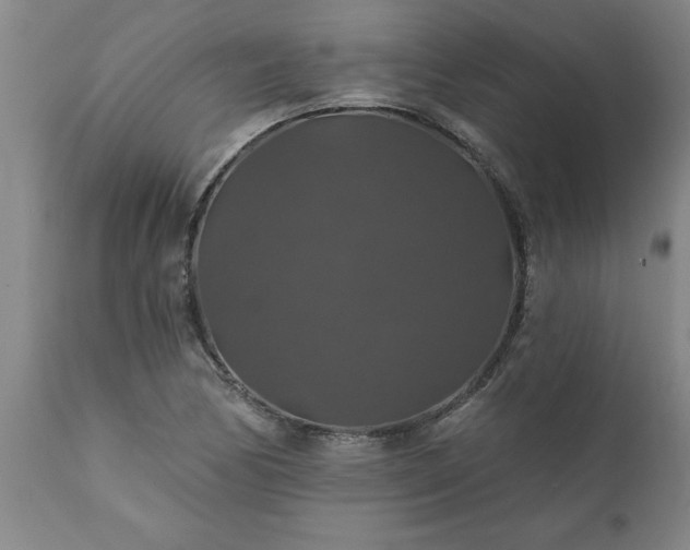 X0000111821170200907301250