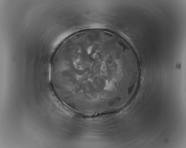 X0000111821171200907301250