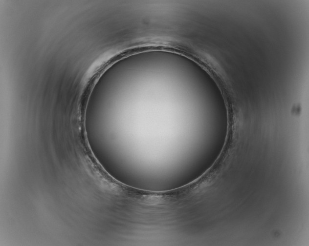 X0000111821172200907301250