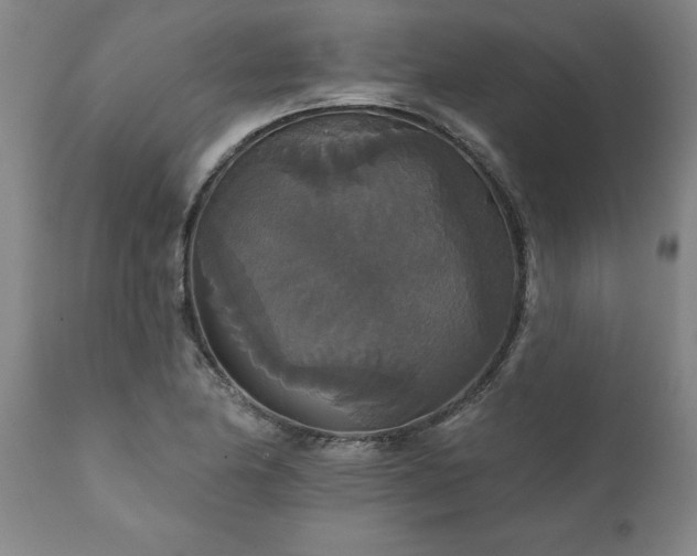 X0000111821174200907301250