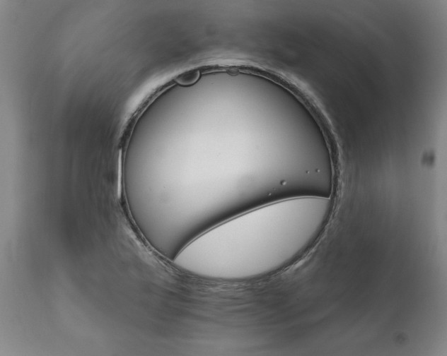 X0000111821175200907301250