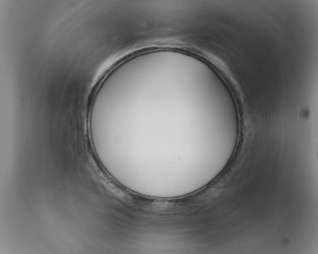 X0000111821176200907301250