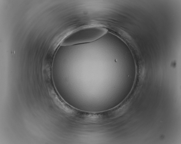 X0000111821177200907301250
