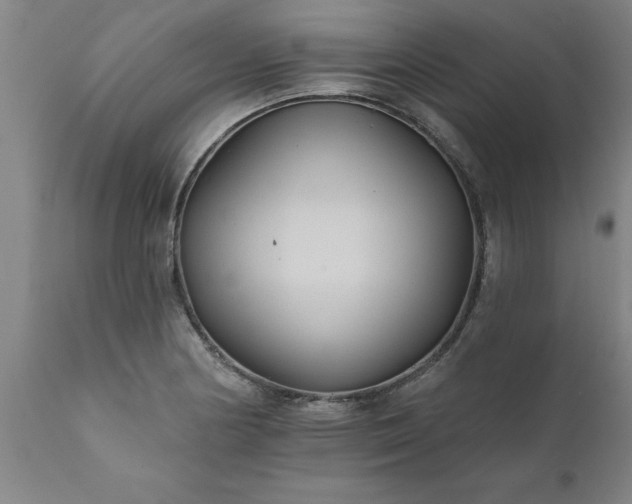 X0000111821178200907301250