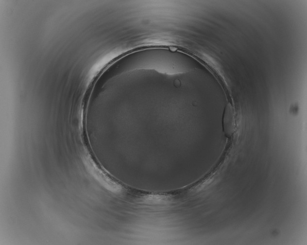 X0000111821179200907301250