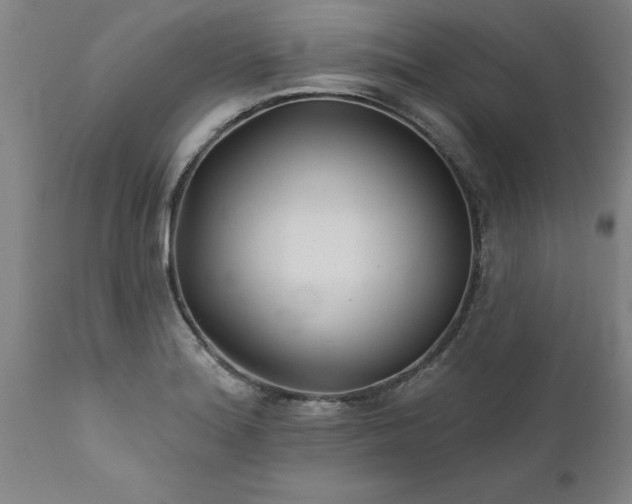 X0000111821180200907301250