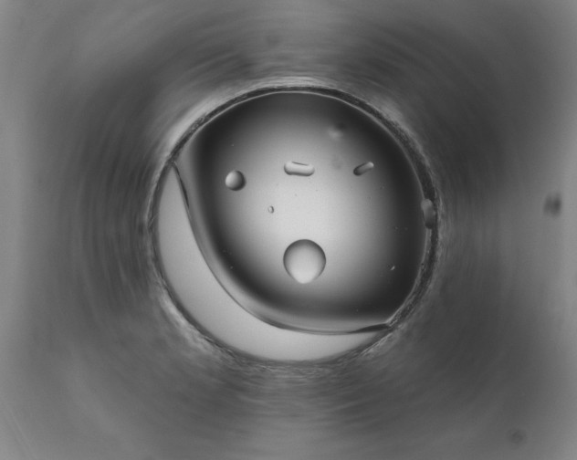 X0000111821181200907301250