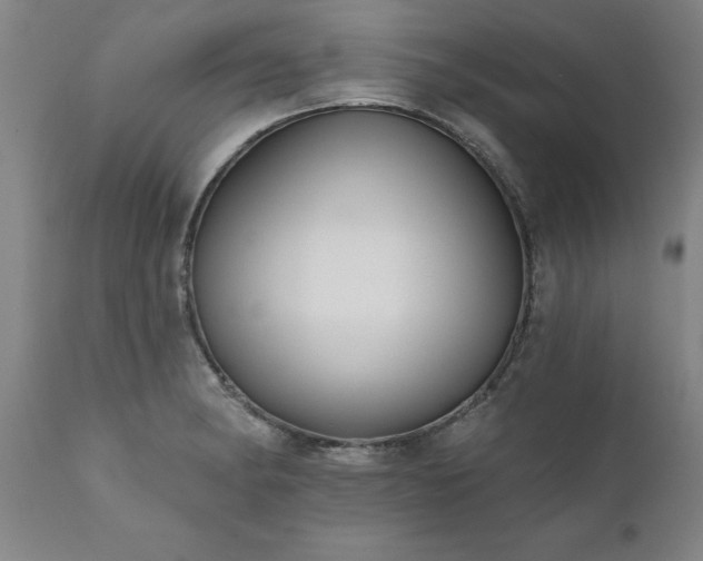 X0000111821182200907301250