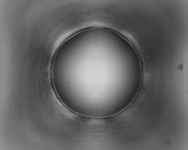 X0000111821183200907301249