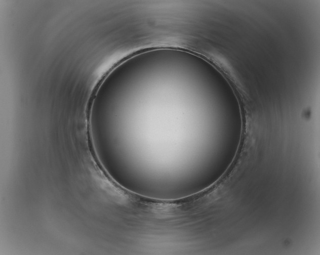 X0000111821184200907301249