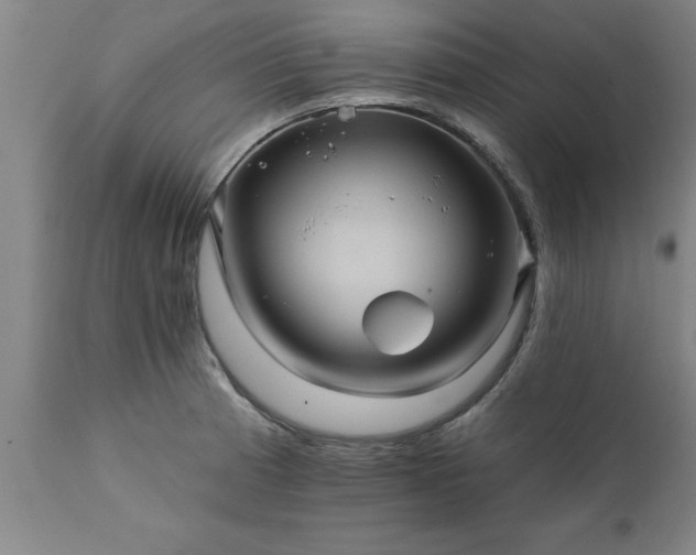 X0000111821185200907301249