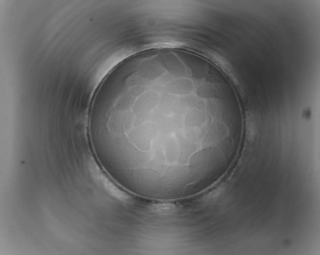 X0000111821186200907301249