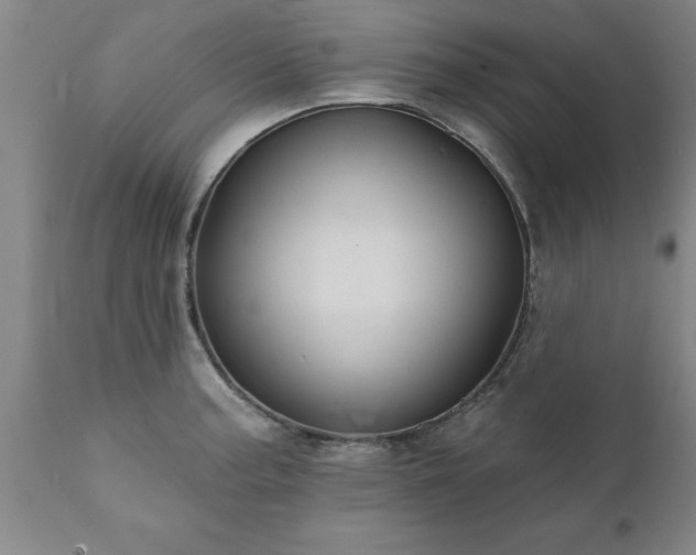 X0000111821187200907301249