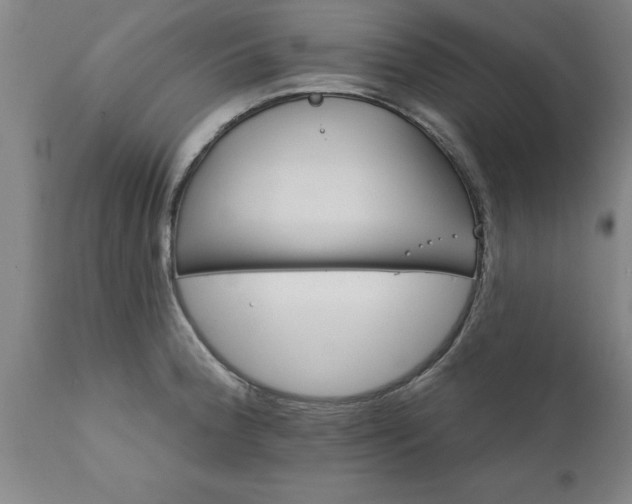 X0000111821188200907301249