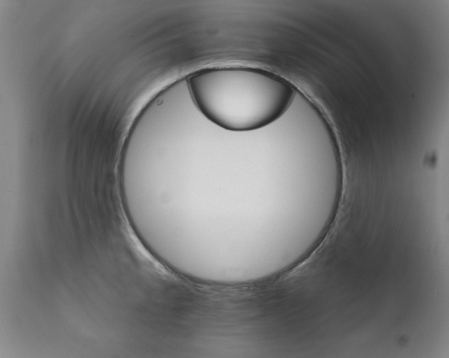 X0000111821189200907301249