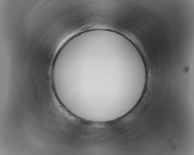 X0000111821190200907301249