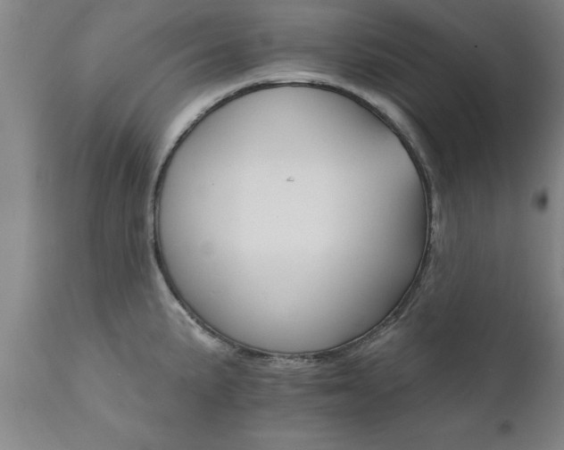 X0000111821191200907301249