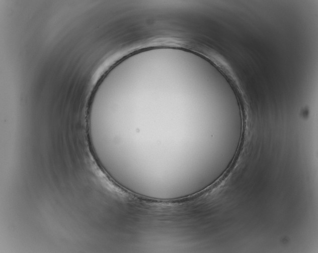X0000111821192200907301249