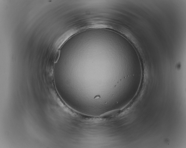 X0000111821193200907301249