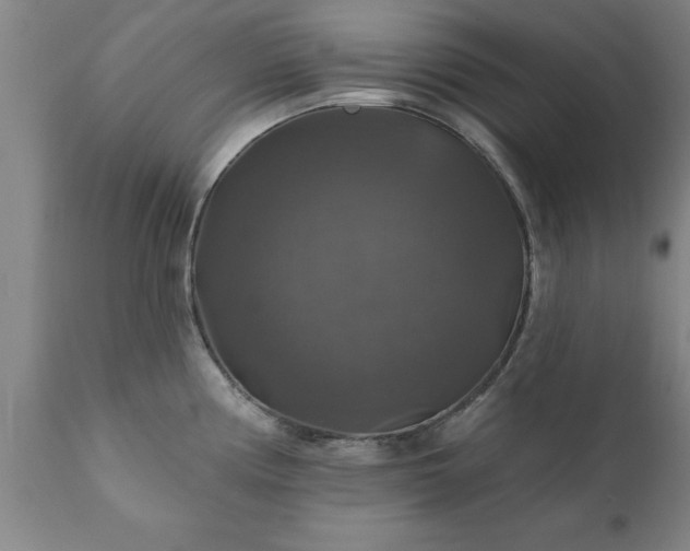 X0000111821194200907301249