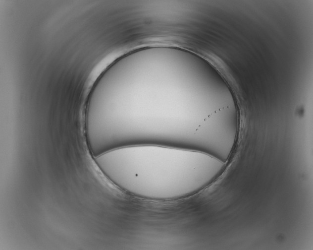 X0000111821196200907301249