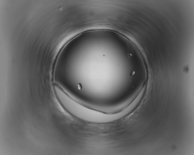 X0000111821197200907301249