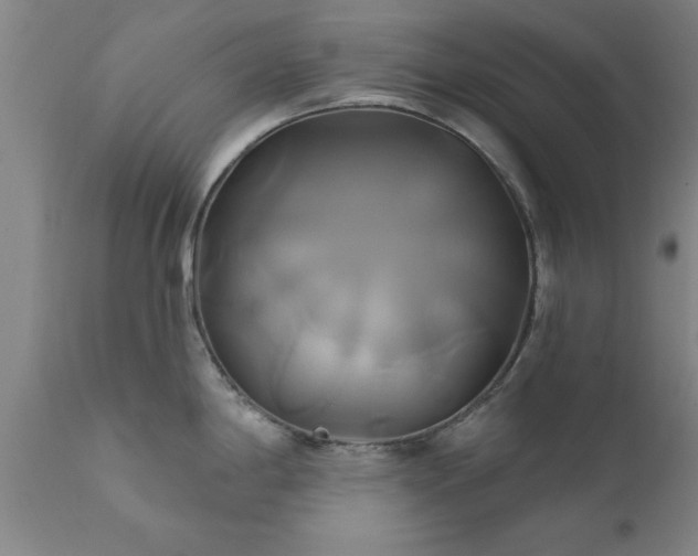 X0000111821198200907301249